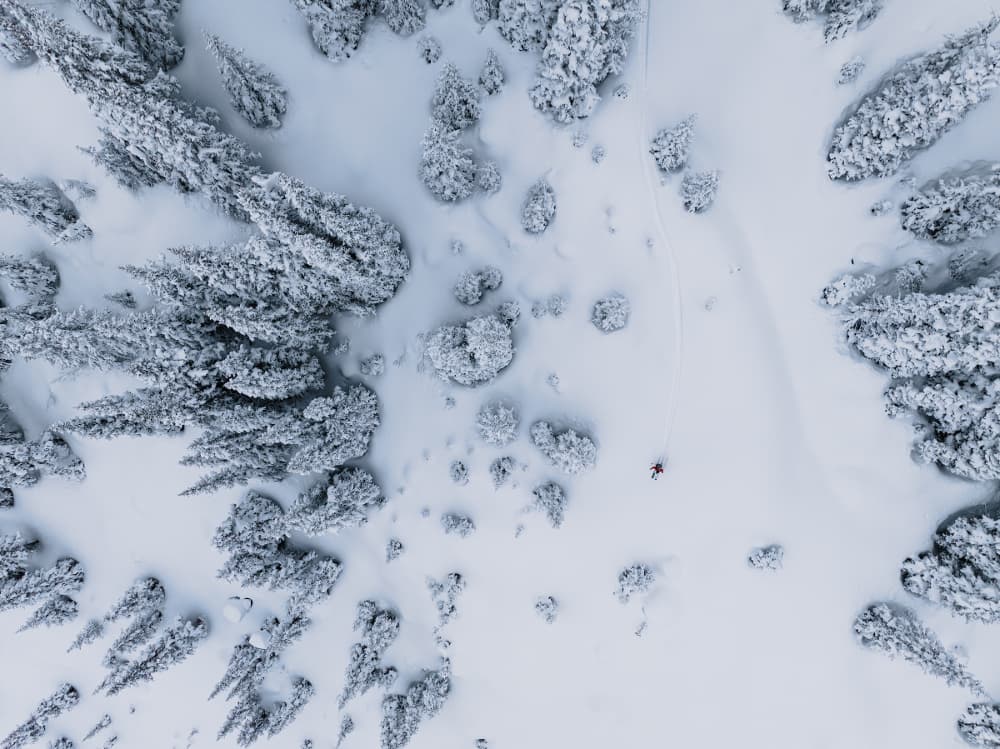 Bella Coola